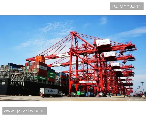 重磅专题：上海滑板队的控制革新